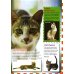 Кошки и котята (Популярная детская энциклопедия)