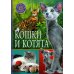 Кошки и котята (Популярная детская энциклопедия)
