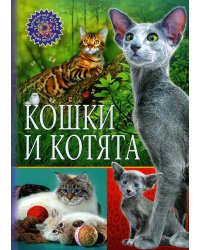Кошки и котята (Популярная детская энциклопедия)