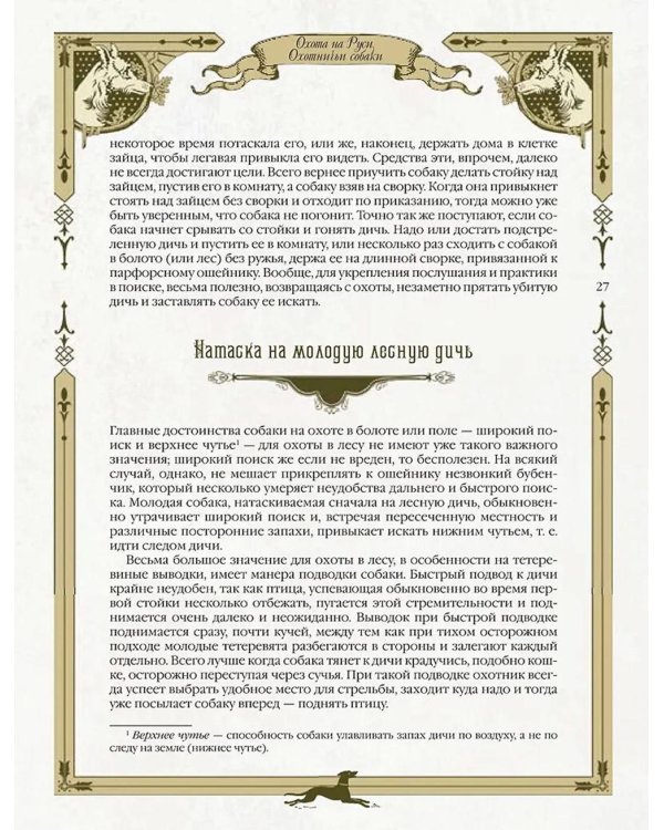 Охота на Руси. Охотничьи собаки