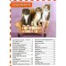 Кошки и котята (Популярная детская энциклопедия)