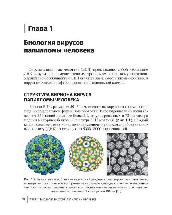 Папилломавирусная инфекция: междисциплинарные аспекты диагностики и лечения: руководство для врачей