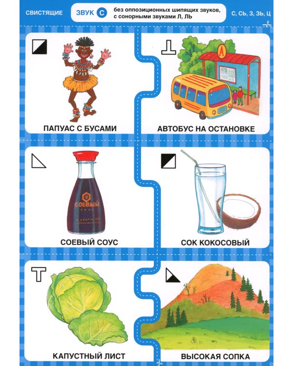 Дружу со звуками, говорю правильно! С, Сь, З, Зь, Ц. Комплект логопедических игровых карточек. ФГОС