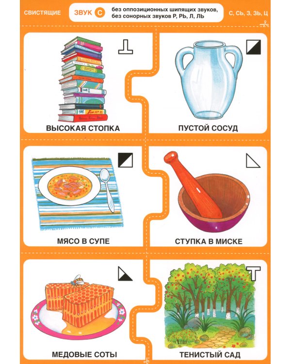 Дружу со звуками, говорю правильно! С, Сь, З, Зь, Ц. Комплект логопедических игровых карточек. ФГОС