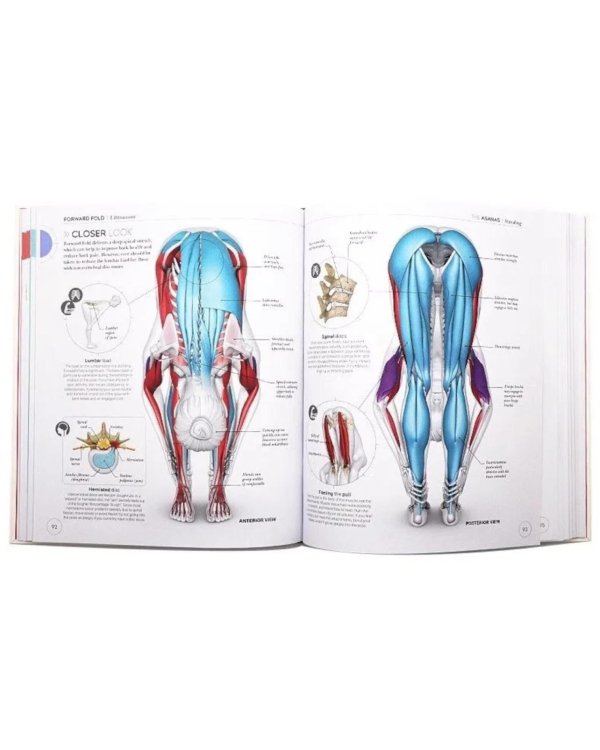 Science of Yoga: Understand the Anatomy and Physiology to Perfect your Practice