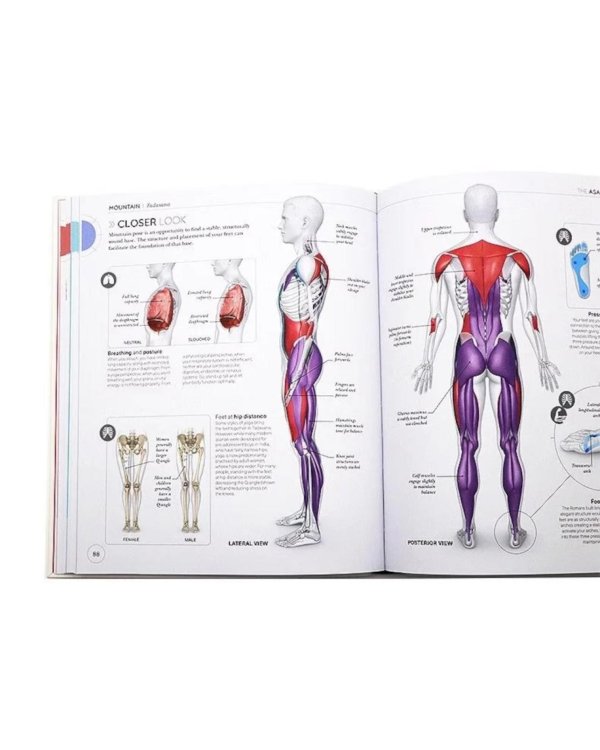 Science of Yoga: Understand the Anatomy and Physiology to Perfect your Practice
