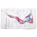 Science of Yoga: Understand the Anatomy and Physiology to Perfect your Practice