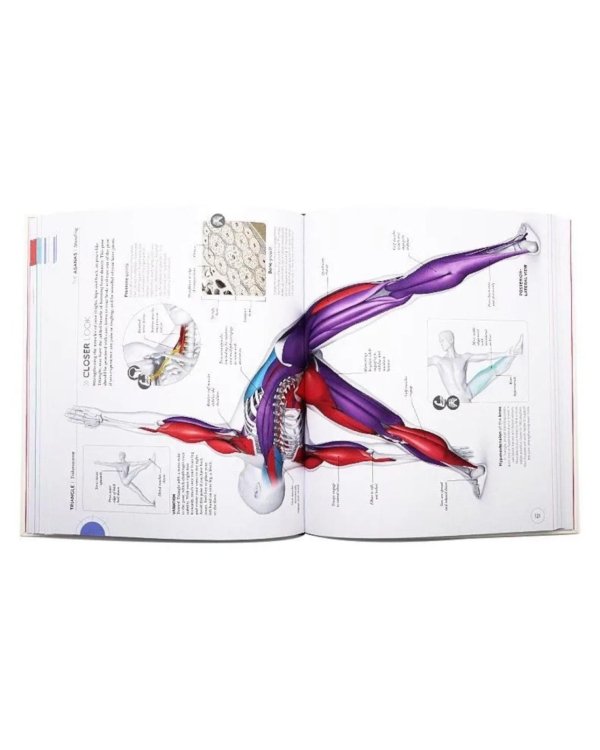 Science of Yoga: Understand the Anatomy and Physiology to Perfect your Practice