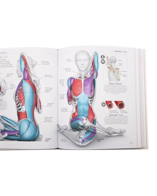 Science of Yoga: Understand the Anatomy and Physiology to Perfect your Practice