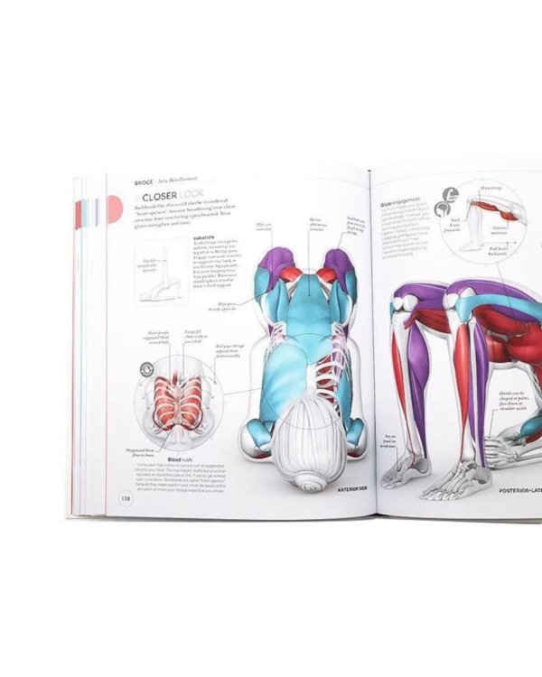 Science of Yoga: Understand the Anatomy and Physiology to Perfect your Practice