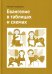 Обложка книги «Евангелие в таблицах и схемах» — Переверзев Матвей В., ISBN 9785906456854