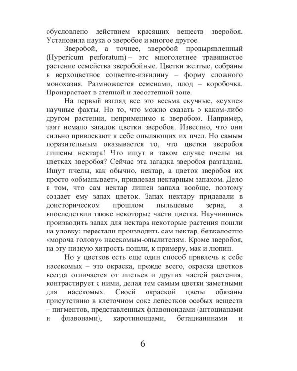 Целительный зверобой