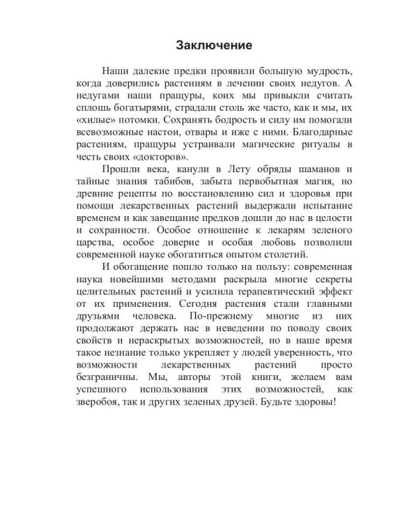 Целительный зверобой