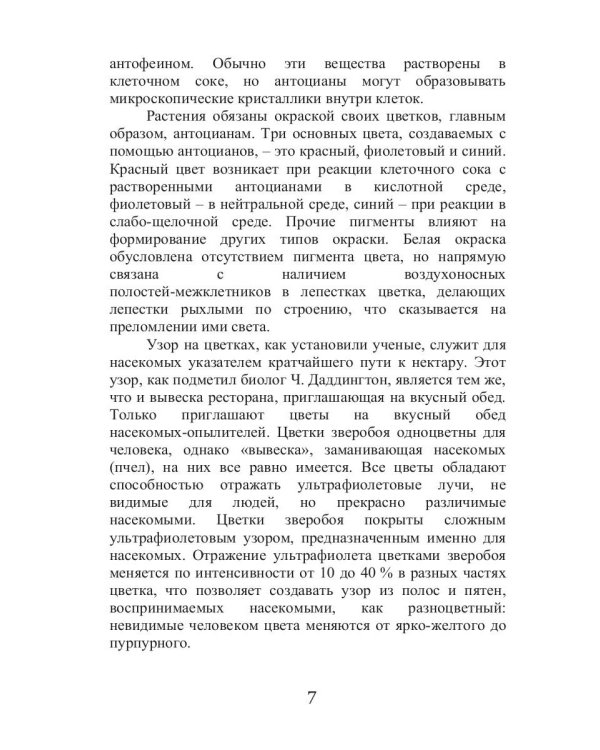 Целительный зверобой