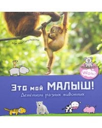Это мой малыш! Детеныши разных животных
