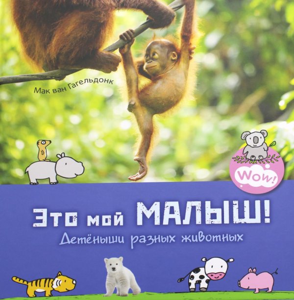 Wow! Это мой малыш! Детеныши разных животных