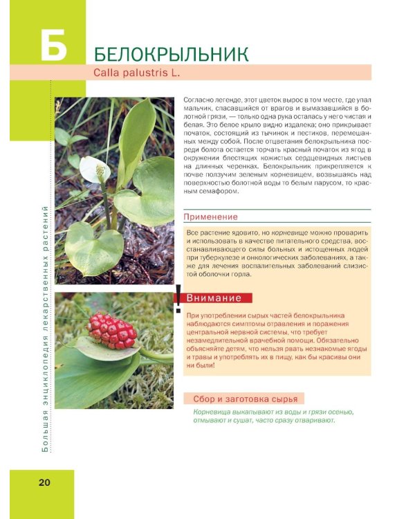 Лекарственные растения: большая иллюстрированная энциклопедия