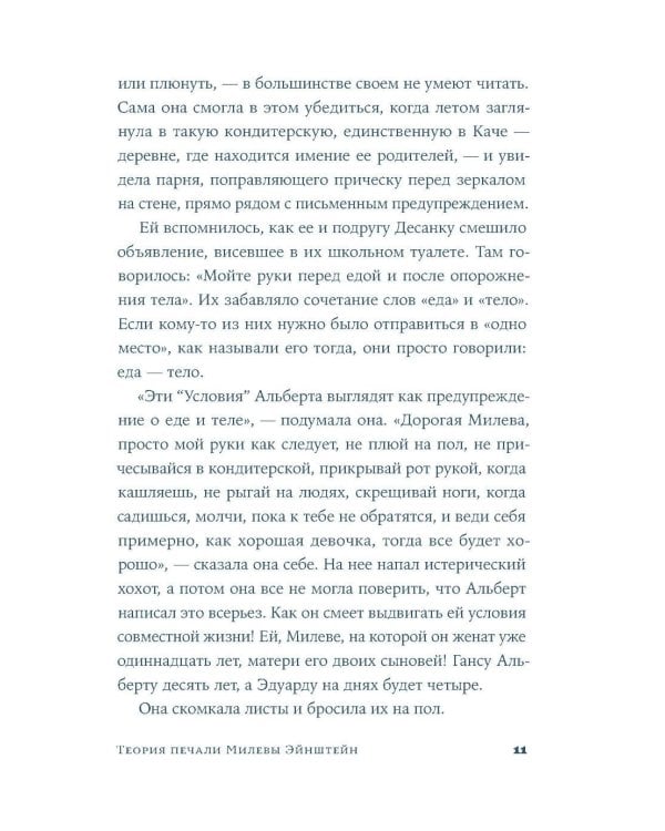 Теория печали Милевы Эйнштейн: роман