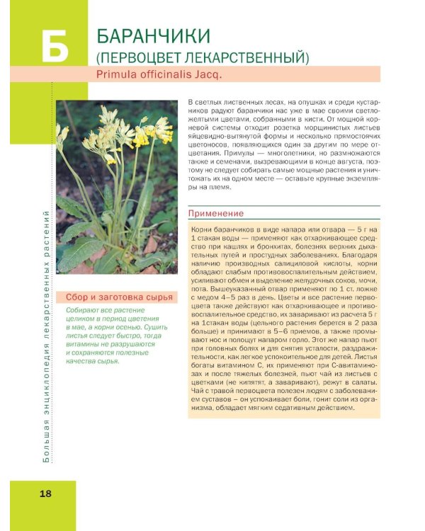 Лекарственные растения: большая иллюстрированная энциклопедия
