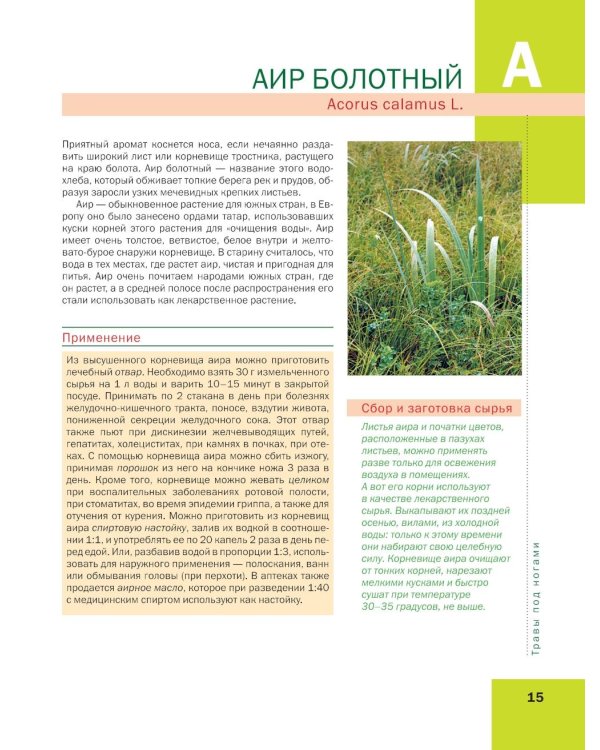 Лекарственные растения: большая иллюстрированная энциклопедия