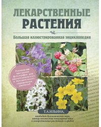 Лекарственные растения: большая иллюстрированная энциклопедия