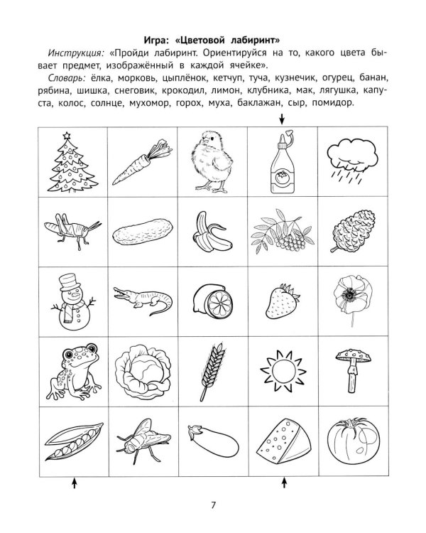 Зрительная память и внимание: рабочая нейротетрадь для дошкольников