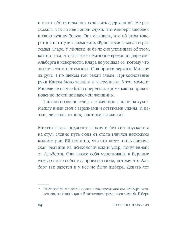Теория печали Милевы Эйнштейн: роман