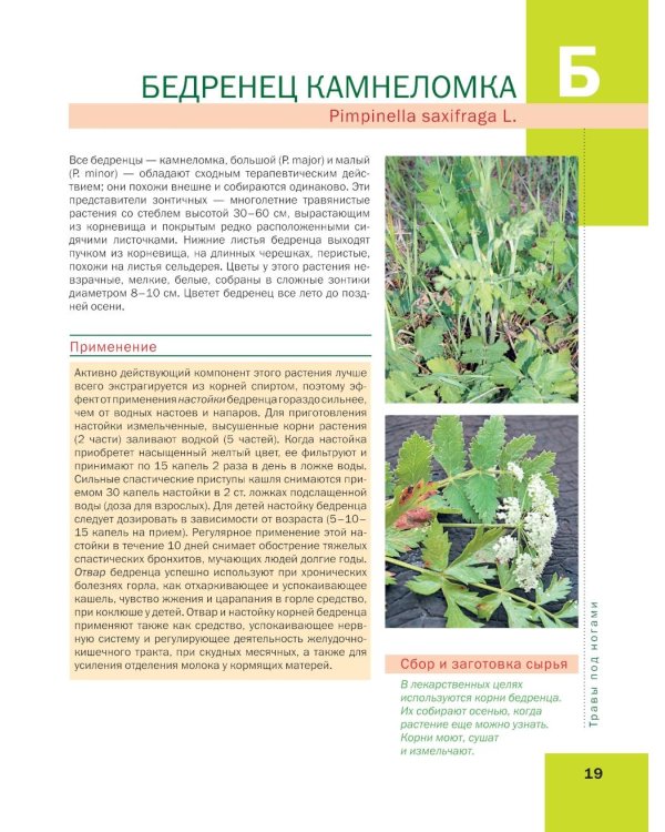 Лекарственные растения: большая иллюстрированная энциклопедия
