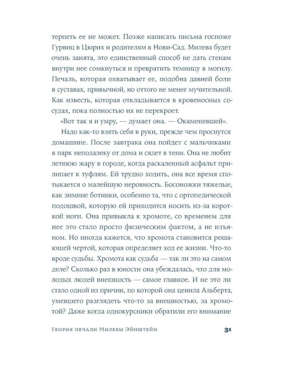 Теория печали Милевы Эйнштейн: роман