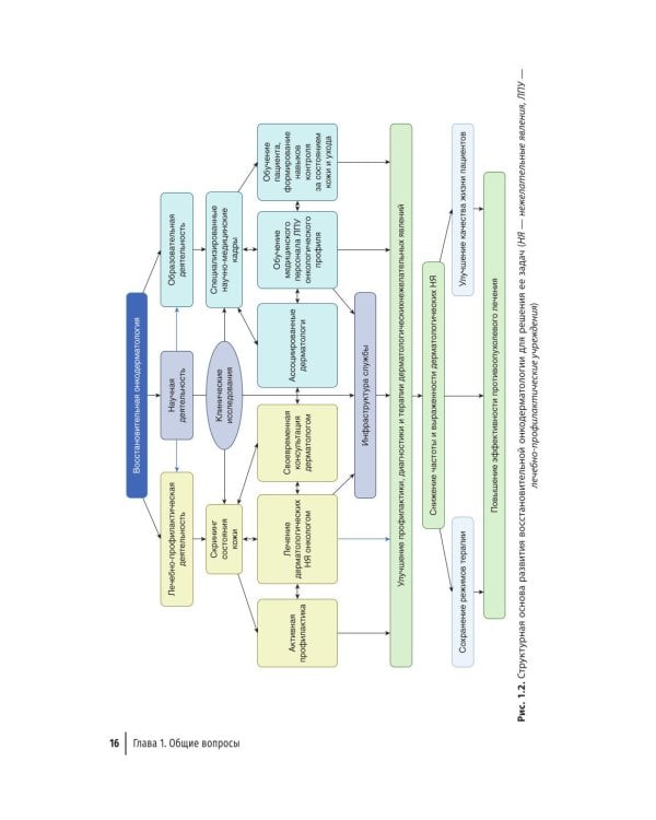 Дерматологические нежелательные явления противоопухолевой терапии: руководство для врачей