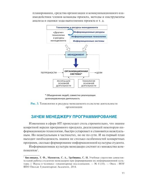 Информационные технологии и основы программирования в менеджменте: Учебное пособие