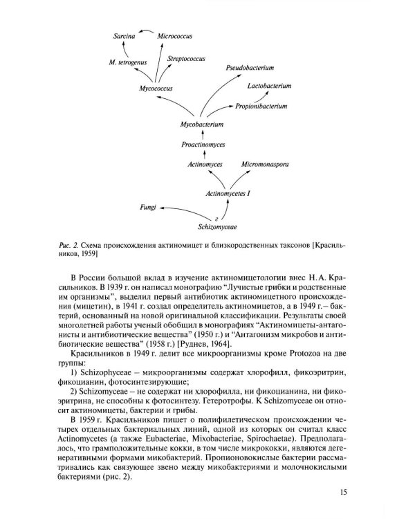 Медицинская микробиология. Клинически значимые микроорганизмы с позиции современной таксономии. Т. 2. Прокариоты. Домен Бактерии