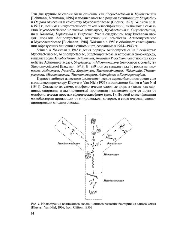 Медицинская микробиология. Клинически значимые микроорганизмы с позиции современной таксономии. Т. 2. Прокариоты. Домен Бактерии