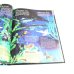 Смотри: Байкал! Смотри: Урал! Книга-путешествие (комплект из 2-х книг)