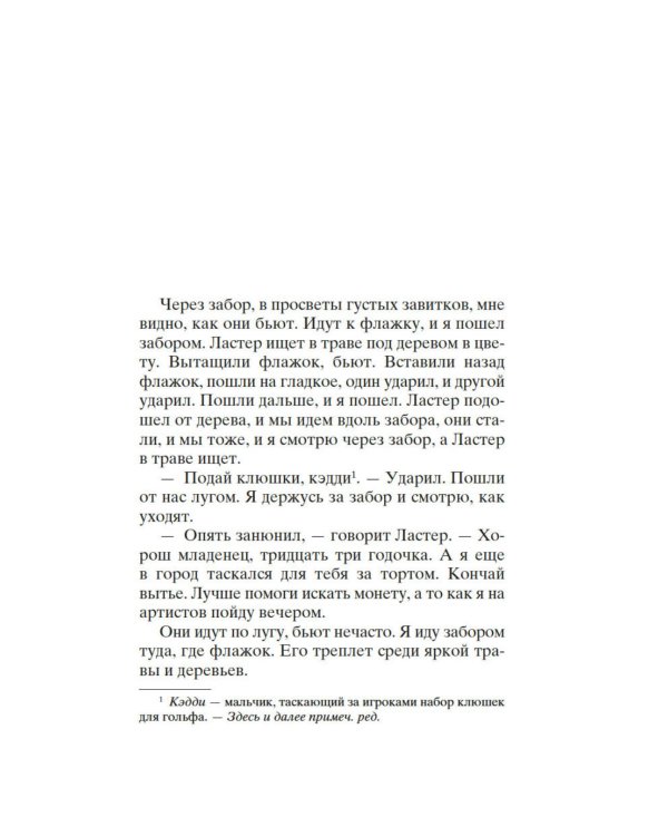 Дополнительное изображение книги «Шум и ярость»