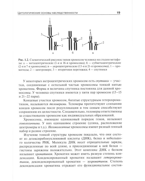 Медицинская генетика: Учебник