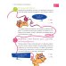 6 минут для детей: управление временем. Первый ежедневник ребенка (синий)