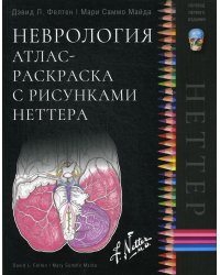 Неврология. Атлас-раскраска с рисунками Неттера