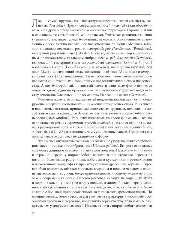 Лось как он есть и как его съесть
