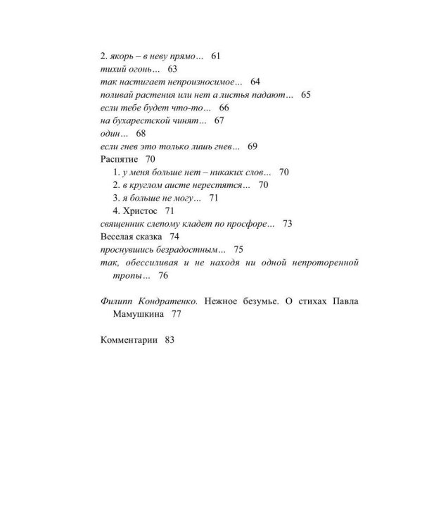 Невыносимый праздник: стихи