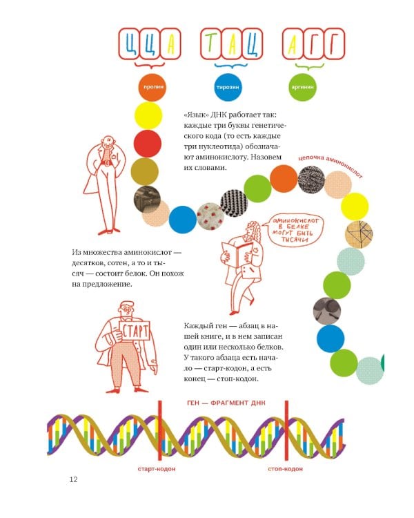 Расплетая ДНК : увлекательный путеводитель по генетике