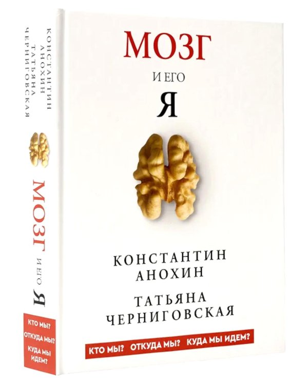 Мозг и его “Я”. Кто мы? Откуда мы? Куда мы идем?