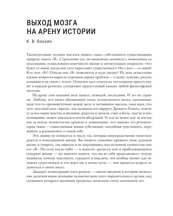 Мозг и его “Я”. Кто мы? Откуда мы? Куда мы идем?
