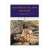 Библейская История. Новый Завет. От Рождества до Воскресения Иисуса Христа