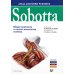Sobotta. Атлас анатомии человека. В 3 т. Т. 1: Общая анатомия и костно-мышечная система. 2-е изд