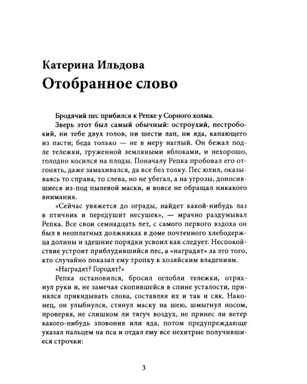 Дополнительное изображение книги «Цвета невидимки. Крафтовый литературный журнал "Рассказы". Вып. 42»