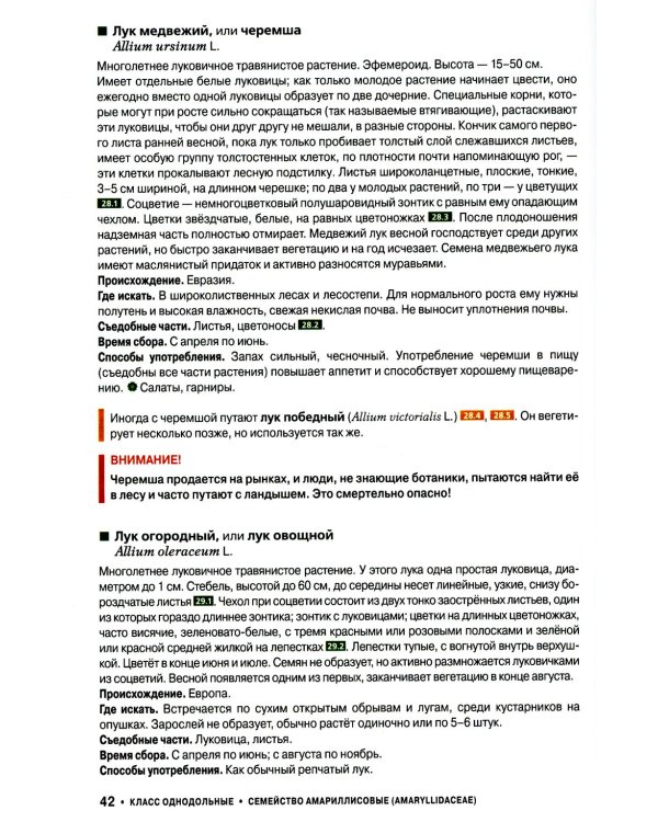 Съедобные дикорастущие растения средней полосы России. Фотоопределитель