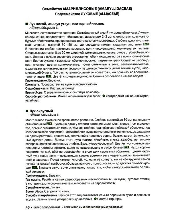 Съедобные дикорастущие растения средней полосы России. Фотоопределитель