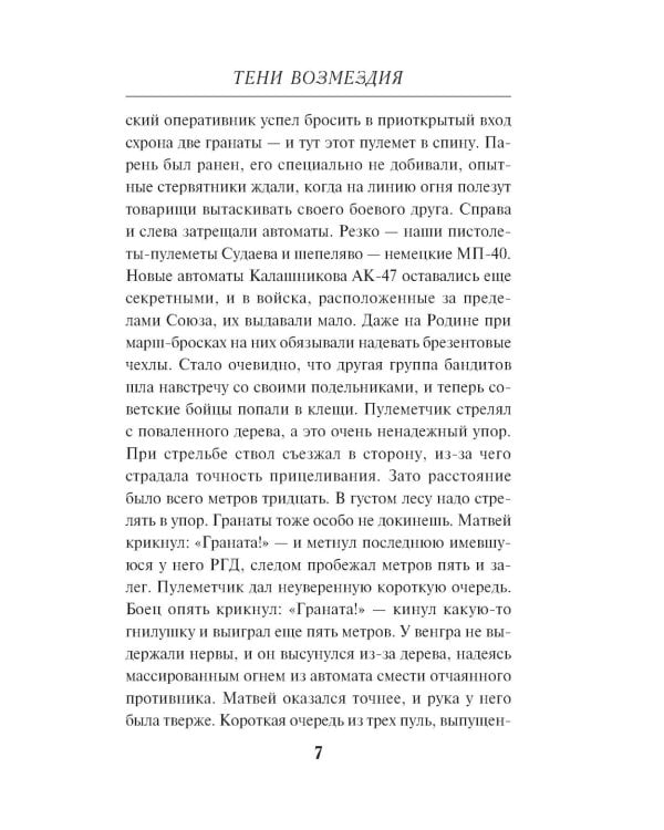 Дополнительное изображение книги «Тени возмездия»