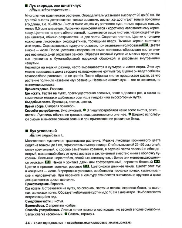 Съедобные дикорастущие растения средней полосы России. Фотоопределитель